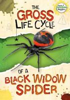 The Gross Life Cycle of a Black Widow Spider