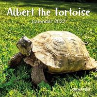 Albert the Tortoise Calendar 2022