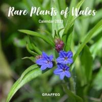 Rare Plants of Wales Calendar 2023