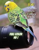 Animal Photos and Premium High Resolution Pictures - Premium Paper - Full Color HD