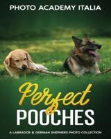 Perfect Pooches: A Labrador and German Shepherd Photo Collection