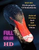 Top 100 Photographs of Waterbirds - Animal Photos and Art Images Ideas - Full Color HD