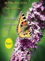 Professional Stock Photos and Prints - 150 Butterfly Photography Ideas - Full Color HD