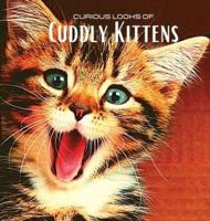 Curious looks of Cuddly Kittens: Colour photo album with beautiful kittens. Gift idea for lovers of small felines and nature. Photo book with close-up portraits of kittens discovering the world.