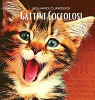 Sguardi Curiosi Di Gattini Coccolosi