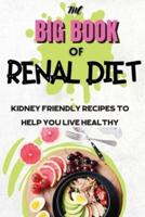 The Big Book Of Renal Diet