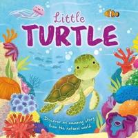 Nature Stories: Little Turtle-Discover an Amazing Story from the Natural World