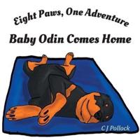 Eight Paws One Adventure