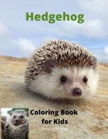 Hedgehog  Coloring Book for Kids : Children Activity Book for Boys and Girls Ages 3-8 with Super Cute Hedgehog   A Super Cool Gift for Boys and Girls Ages 3-8 - Hedgehog Coloring and Activity Book   A Unique Collection Hedgehog Pages