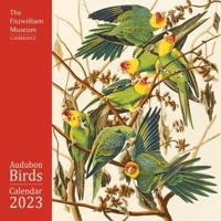 Fitzwilliam Museum: Audubon Birds Wall Calendar 2023 (Art Calendar)