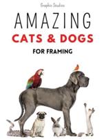 Amazing Cats and Dogs for Framing : Amazing pet photos, funny dogs and cats to frame