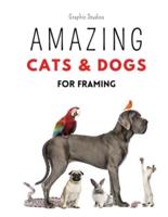 Amazing Cats and Dogs for Framing : Amazing pet photos, funny dogs and cats to frame
