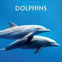 Dolphins 2024 Square Wall Calendar