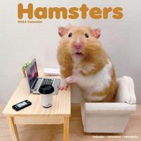 Hamsters Calendar 2024 Square Animal Wall Calendar - 16 Month