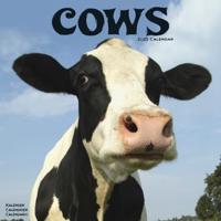 Cows Calendar 2025 Square Farm Animal Wall Calendar - 16 Month