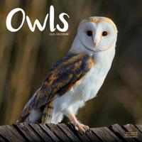 Owls Calendar 2025 Square Birds Wall Calendar - 16 Month