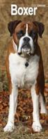 Boxer Slim Calendar 2025 Dog Breed Slimline Calendar - 12 Month