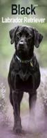 Black Labrador Retriever Slim Calendar 2025 Dog Breed Slimline Calendar - 12 Month
