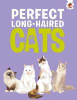 Perfect Long-Haired Cats