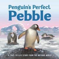 Penguin's Perfect Pebble