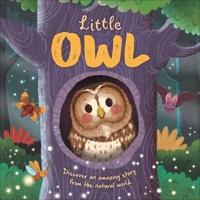 Nature Stories: Little Owl-Discover an Amazing Story from the Natural World