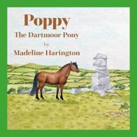 Poppy the Dartmoor Pony 2023