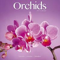 Orchids 2022 Wall Calendar
