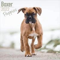 Boxer Puppies 2022 Wall Calendar