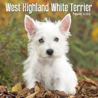 West Highland White Terrier Puppies Mini Square Wall Calendar 2022
