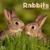 2023 Rabbits Wall Calendar