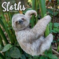 2023 Sloths Wall Calendar