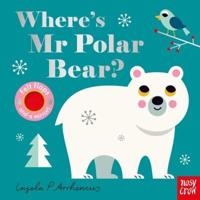 Where's Mr Polar Bear
