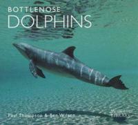 Bottlenose Dolphins