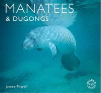 Manatees & Dugongs