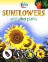 Sunflowers and Other Plants