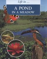 Life in - A Pond in a Meadow