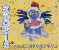 Hailey Snowstorm