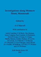 Investigations Along Monnow Street, Monmouth