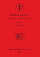 Amorium Reports. 2 Research Papers and Technical Reports