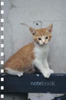Kitten Mini Notebook