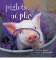 Piglets @ Play