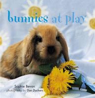 Bunnies @ Play