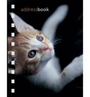 Kitten Pocket Address Book