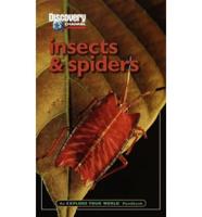 Insects & Spiders