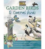 Garden Birds and Coastal Birds Poster Pack