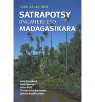 Field Guide to the Palms of Madagascar (Malagasy Version)