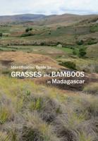Identification Guide to Grasses and Bamboos in Madagascar