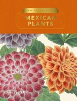 Mexican Plants