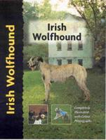 Irish Wolfhound