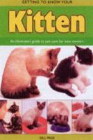 Getting to Know Your Kitten